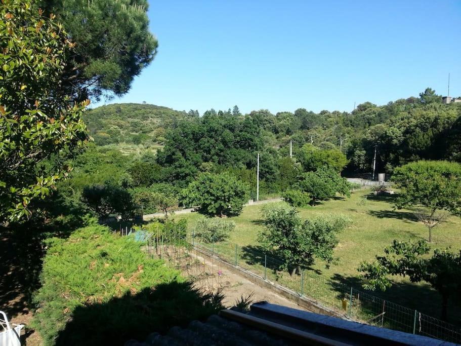 Appartement Au Fond Du Jardin Saint Jean du Pin Экстерьер фото