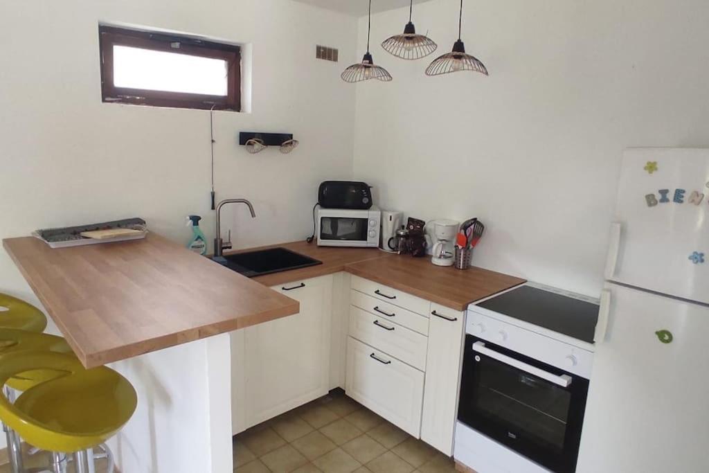 Appartement Au Fond Du Jardin Saint Jean du Pin Экстерьер фото